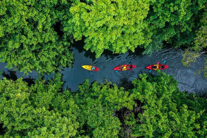 Afternoon Guided Kayak Tour on the Tamarin River - Value for Money and Practical Details