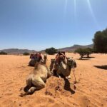 Agadir Buggy Tour and Sandboarding - Value and Practicality