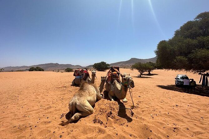 Agadir Buggy Tour and Sandboarding - Value and Practicality