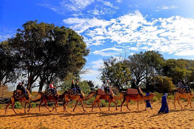 Agadir by Night: A Magical Evening - Exploring the Itinerary in Detail
