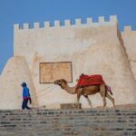 Agadir Cable Car Including Hotel transfers & Optional City Tour - Practical Tips for Making the Most of Your Tour