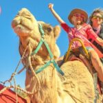 Agadir Camel Ride Tour - Why This Tour Offers Great Value
