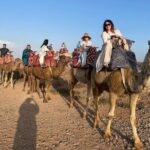 Agadir Camel Ride with BBQ and Couscous - The Finale: Berber House & Barbecue Feast