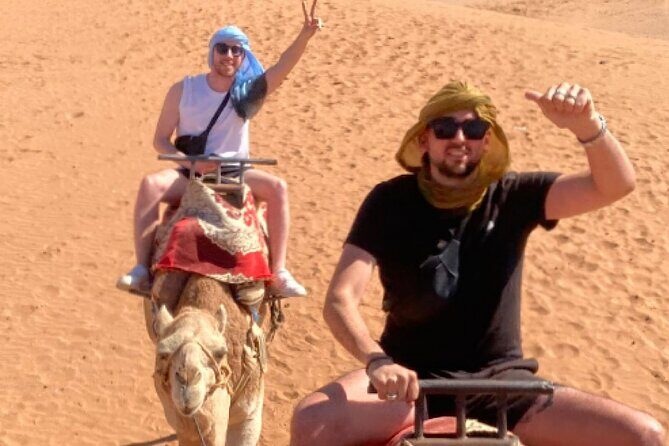 Agadir Camel Rides with Tea Drink & cakes - Who Will Love This Tour?