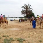 Agadir Camel Riding - Who Should Book This Tour?
