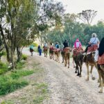 Agadir Camel Riding and flamingo river tour - A Closer Look at the Tour Experience