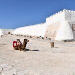 Agadir City Highlights Tour with Kasbah, Mosque, Souk Experience - The Sum Up
