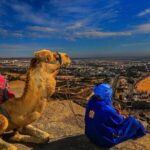 Agadir City Tour Discovery - Is This Tour Right for You?