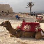 Agadir City Tour - Half Day - What We Really Thought