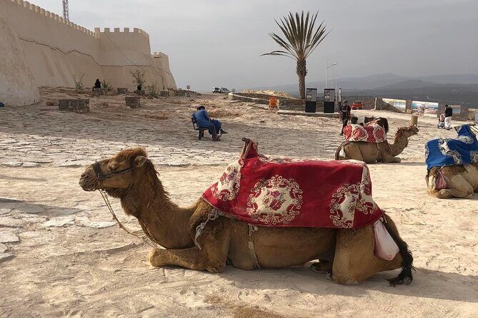 Agadir City Tour - Half Day - What We Really Thought