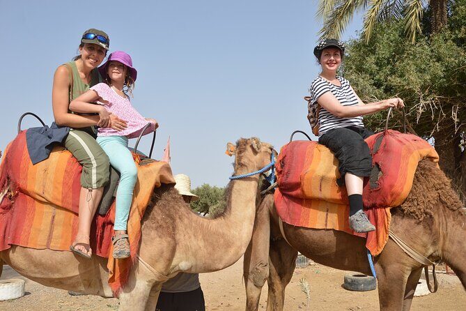 Agadir city tour & Medina, cable car, Crocoparc with hotel pickup - Final Thoughts: Is This Tour Right for You?