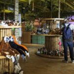 Agadir Crocodile Park Adventure - Authentic Insights from Reviewers