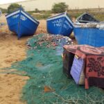 Agadir Day Excursion to Mini Sahara safari National Park Souss Massa by 4x4 - What Travelers Are Saying