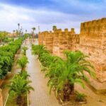 Agadir Day Trip to Taroudant and Tiout Oasis with Lunch - Why the Tour Offers Good Value