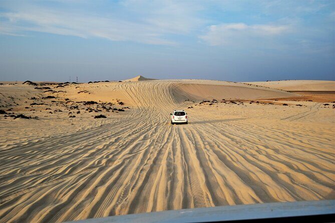 Agadir Desert Safari Day Trip with Lunch and Agadir City Tour - The Practical Side: Transportation, Group Size, and Value