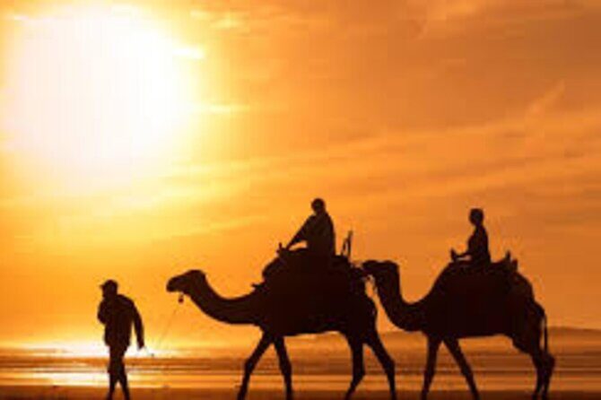 Agadir Dune Quad Bike and Sunset Camel ride Adventure - The Value and Who Should Book This Tour