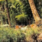 Agadir Excursion to Paradis Valley & Atlas Mantains with lunch - Authentic insights from travelers