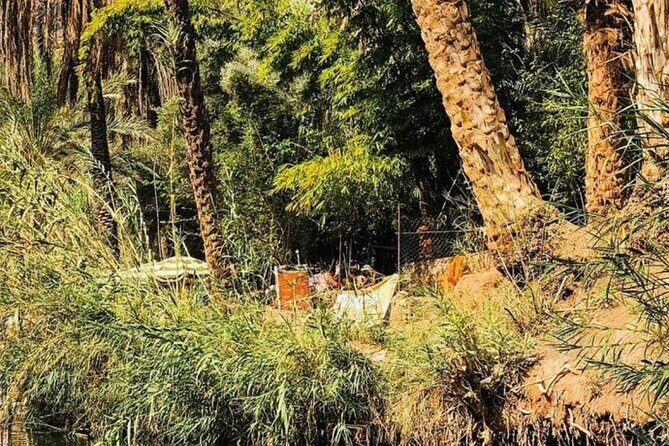 Agadir Excursion to Paradis Valley & Atlas Mantains with lunch - Authentic insights from travelers