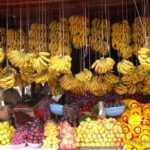 Agadir guided city tour half-day trip - Final Thoughts