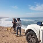 Agadir Jeep Safari Desert Day Trip including Lunch & camel ride - Why This Tour Is Perfect for You