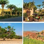 Agadir Morocco: Day Trip To Taroudant & Tiout Oasis with Lunch - Who Is This Tour Best Suited For?