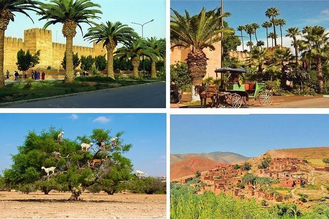 Agadir Morocco: Day Trip To Taroudant & Tiout Oasis with Lunch - Who Is This Tour Best Suited For?