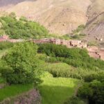 Agadir or Taghazout: Paradise Valley Atlas Mountain Swimming Trip - What Makes This Tour Special