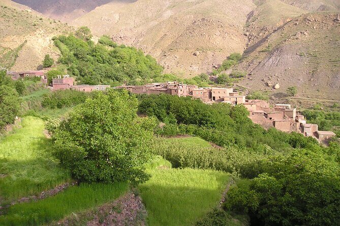 Agadir or Taghazout: Paradise Valley Atlas Mountain Swimming Trip - What Makes This Tour Special
