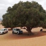 Agadir Sahara Day Trip with Lunch - Final Thoughts