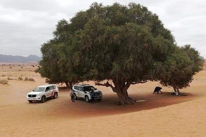 Agadir Sahara Day Trip with Lunch - Final Thoughts