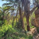 Agadir Sahara Desert & Paradise with camel ride & hotel pickup - What Does the Price Reflect?