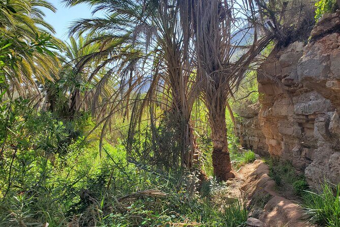 Agadir Sahara Desert & Paradise with camel ride & hotel pickup - What Does the Price Reflect?