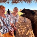 Agadir Sahara Desert with Lunch and Camel Ride - What To Expect from the Tour