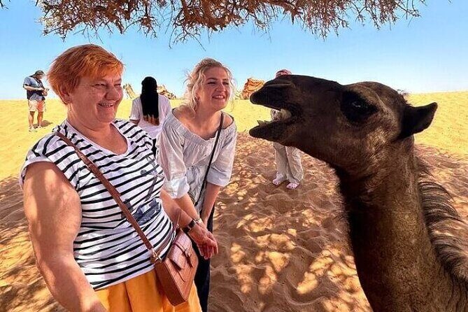 Agadir Sahara Desert with Lunch and Camel Ride - What To Expect from the Tour