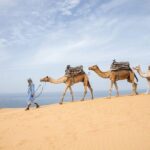 Agadir Sand Dunes and Camel Ride in Tifnit with Lunch - The Experience in Detail: Transportation & Group Size