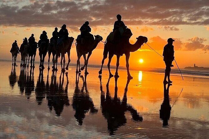 Agadir & Taghazout: Half Day Quad Bike Adventure and Camel Ride - The Quad Biking Experience