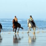 Agadir/Taghazout Horse Ride on the beach - What to Expect from the Agadir/Taghazout Horse Ride on the Beach