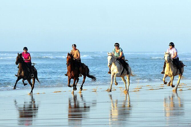 Agadir/Taghazout Horse Ride on the beach - What to Expect from the Agadir/Taghazout Horse Ride on the Beach