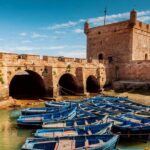 Agadir To Essaouira private day trip - Cultural and Culinary Highlights