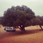 Agadir Trip To Mini Desert / Safari Tour - Transportation and Group Size