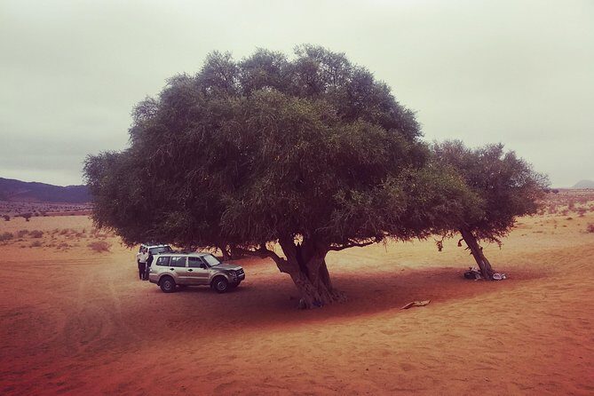 Agadir Trip To Mini Desert / Safari Tour - Transportation and Group Size
