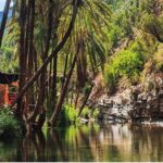 Agadir Trip To Paradise Valley - Who Will Love This Tour?