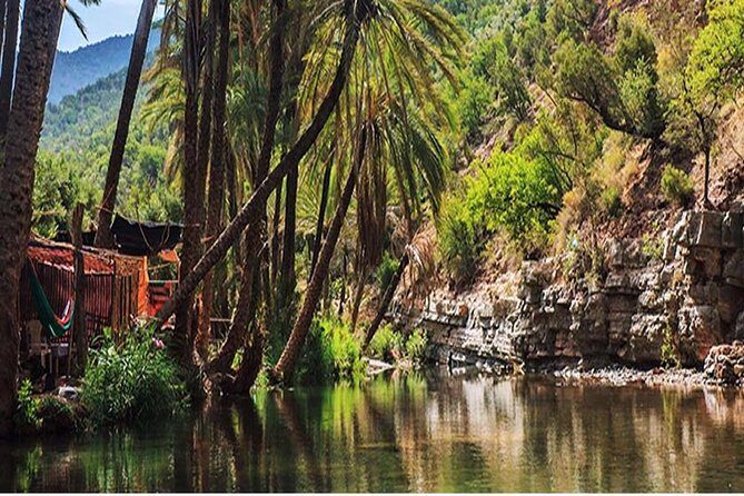 Agadir Trip To Paradise Valley - Who Will Love This Tour?