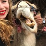 Agafay Desert: Camel ride, dinner and fire show - Transportation, timing, and group size