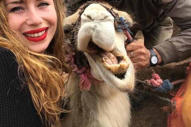Agafay Desert: Camel ride, dinner and fire show - Transportation, timing, and group size