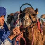 Agafay Desert Camel Ride & Quad Bike - Who Will Love This Tour?