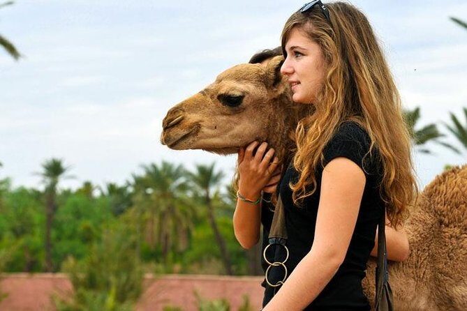 Agafay Desert Day Trip & Atlas Mountains with Camel Ride - Who This Tour Is Best For