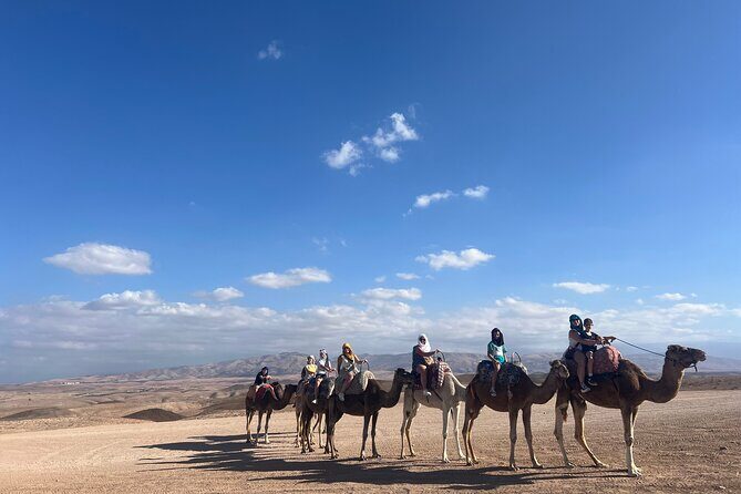 Agafay desert Full experience quad , camel ride , dinner and Show - The Desert activities: Quad Biking and Camel Ride