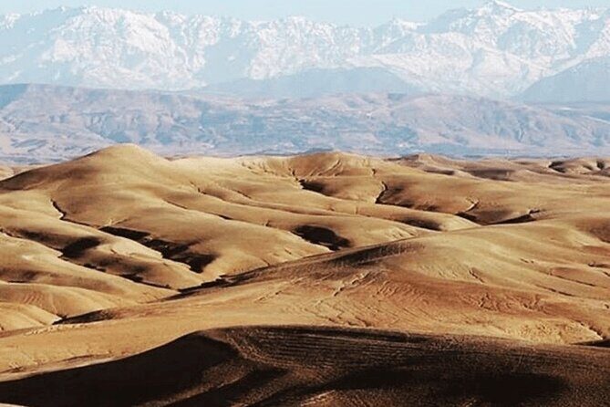 Agafay Desert Package, Quad Bike, Camel Ride and Dinner Show - Why This Tour Offers Great Value