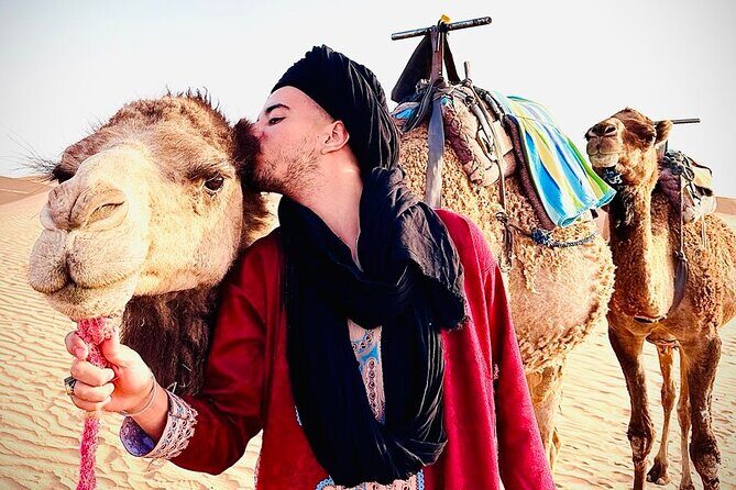 Agafay Desert: Quad Biking, Camel Ride & Dinner Show Experience. - Final thoughts: Is this the right desert experience for you?